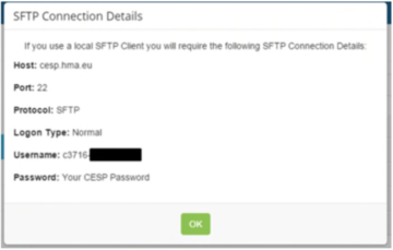 Screenshot of SFTP connection details